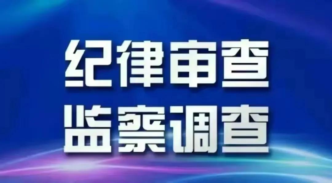 5月6日反腐消息：又有12名官员被带走调查