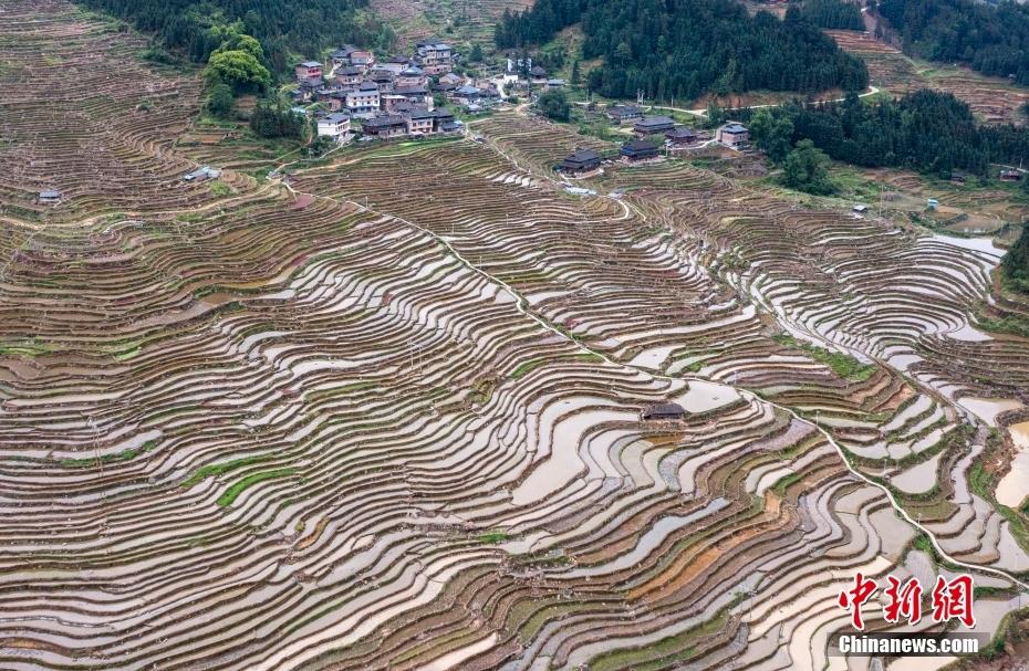 航拍贵州从江梯田 层层叠叠景色别致