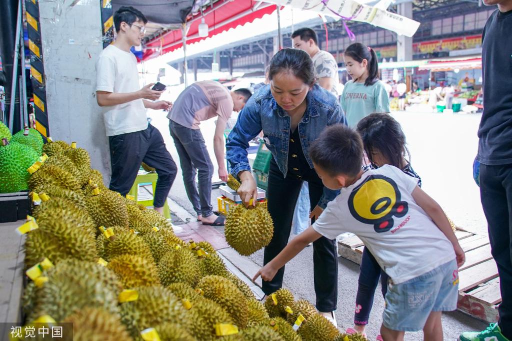 东南亚榴莲大量上市 南宁市民围观选购