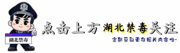 男子火车上被杀害，嫌疑人曾自述从小就吸毒...