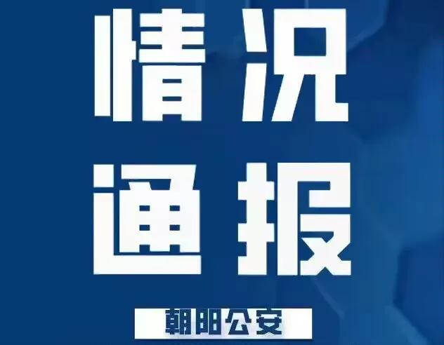 李某侮辱解放军被立法调查，恨国许可馨、北极鲢鱼何时绳之以法？