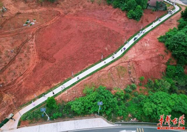 暖心！湖南科大将学生踩出来的山坡小道变成宽敞水泥路