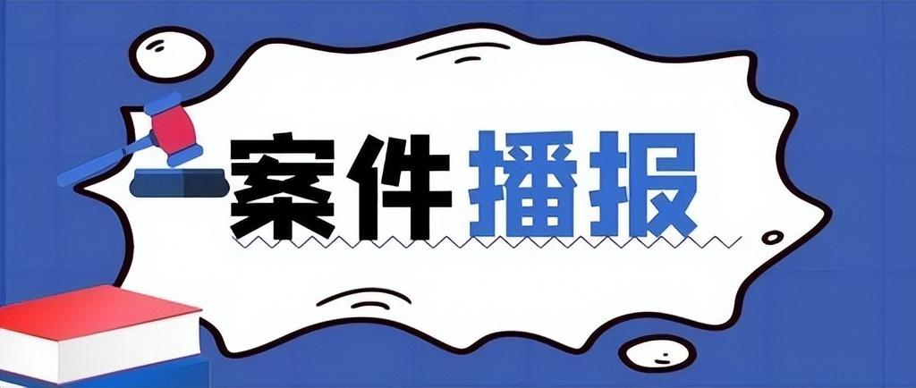 联手“包装”申请人骗贷 因对分配方案不满报案