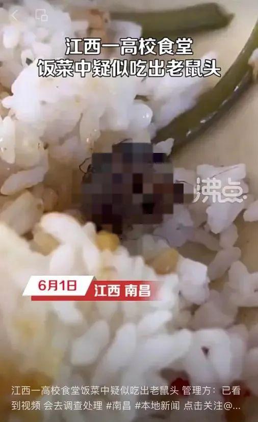 老鼠头、蟑螂壳，当你遭遇食物中的“惊吓”如何维权