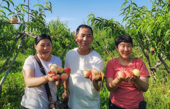 时令水果采摘忙 新疆新源农旅融合助增收