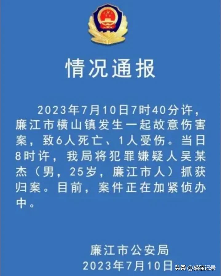 廉江6死背后流传着三个版本:肇事赔偿、处理打架偏袒，精神病患者