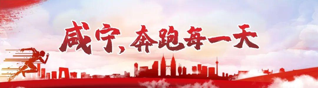 通城县住房和城乡建设局党组成员、副局长、一级主任科员杨金炜接受审查调查