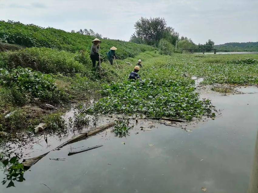 清除水面漂浮物15万吨 石首市高基庙镇“清漂行动”成果丰硕