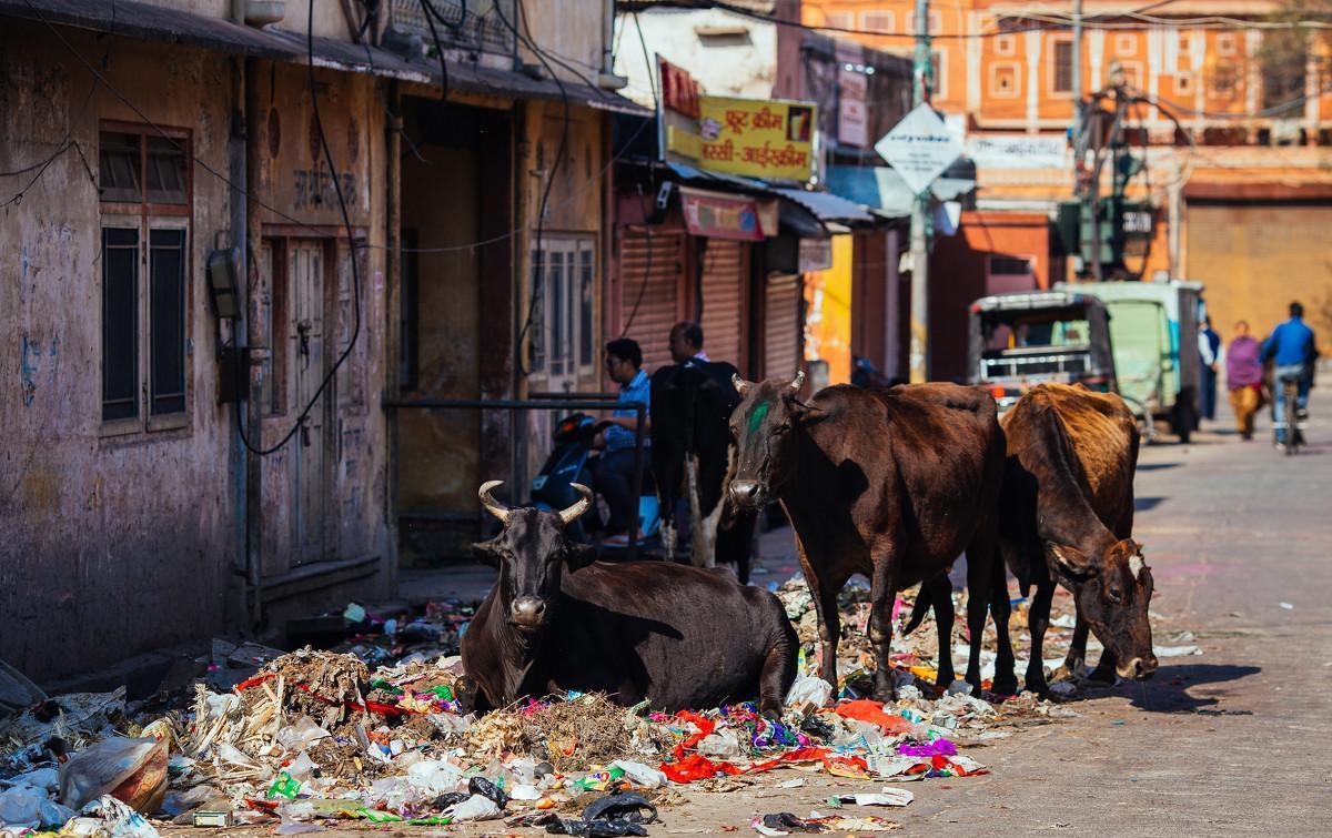 让印度甘拜下风的孟加拉究竟有多脏？女性随地大小便，遍地是垃圾