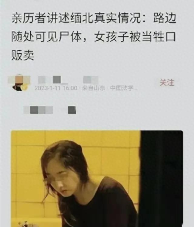 缅北诈骗者亲述：男女都会被性侵，关水牢放毒蛇，被割器官