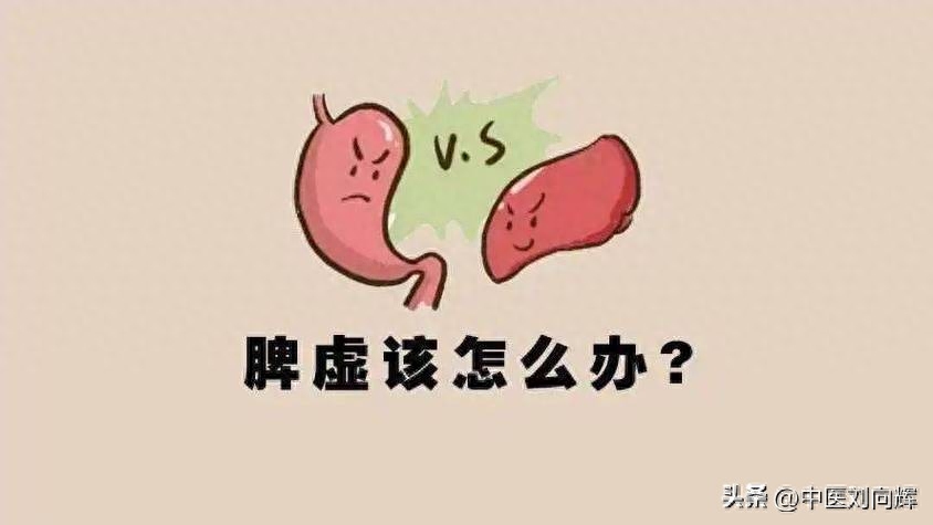 肚子胀，大便不成形？多半是脾虚导致的，教你一招，健脾益气