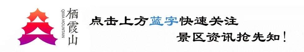 【栖霞山·植物百科】淡竹叶：似竹叶轻盈翩翩起舞，清热去火功效强大