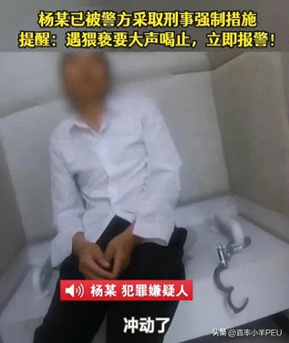 打的好！男子火车上3次猥亵邻座女子，被老婆狂扇耳光，打死你